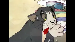 This is my Kingdom 'Come' "TOM and Jerry"