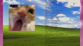 A silly playlist for silly cat people