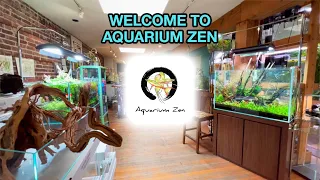 Welcome to Aquarium Zen