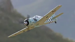 Flight of the Butcherbird | The RC Geek's E-flite Focke-Wulf Fw 190A 1.5m Desert Flight