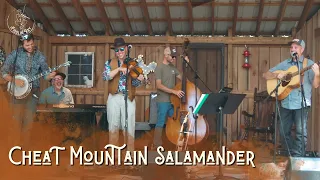 Fiddlin' Ray and the Turtle Snatchers | Cheat Mountain Salamander