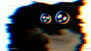 Maxwell The Cat [ Dreamcore Remix ]