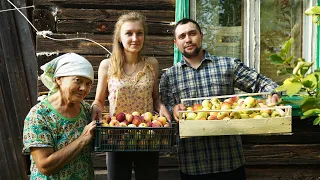 КУПИЛ 2 ДОМА В ДЕРЕВНЕ | ПОМОГЛИ БАБУШКЕ СОБРАТЬ ЯБЛОКИ | ДЕРЕВЕНСКАЯ ЯРМАРКА