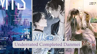 12 Fully Translated Danmei Novels That Are Vastly Underrated | Yaoi Novels | BL Novels