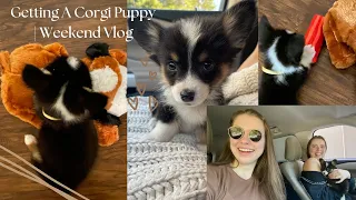 Picking Up A CORGI PUPPY | Day in the Life Vlog