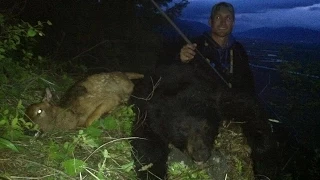 Hunter shoots Bear as Bear kills Calf Elk - Stuck N the Rut 16