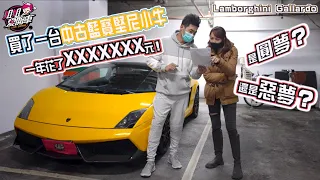 買了一台中古藍寶堅尼小牛，是圓夢還是惡夢？Lamborghini Gallardo