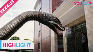 Spesial (Rising Boas in a Girl's School) Seekor ular raksasa menyerang sebuah sekolah!