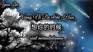 Xiang Ni De Shi Hou 想你的时候(saat merindukanmu) Ren Xia 任夏 Lyrics