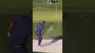 Tony Finau Bunker Shot