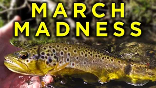 MARCH MADNESS!! Euro Nymphing a Small Spring Creek