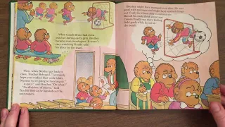 The Berenstain Bears Trouble at School