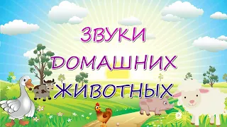 Учим домашних животных для самых маленьких || Развивающие Мультики для Детей