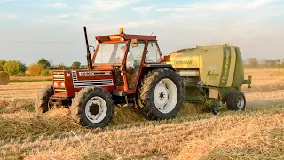 Fiatagri 110-90 DT e Krone Fortima F1600 MC [FHD]