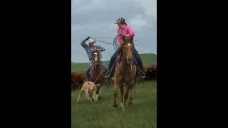 Nate Wald Ranch Branding