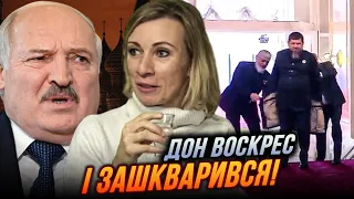 😱Кадиров на пігулках, Захаровій мерещиться Макрон у Донецьку, Лукашенко істерить як ніколи