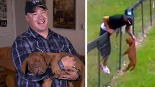 Mechanic Returns Stolen Mastiff Dog to Texas Owner