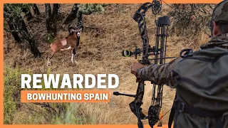 MOUFLON SHOT TWICE with BOW!!! 💥 BOWHUNTING MOUFLON and RED STAGS in SPAIN 💥 REWARDED