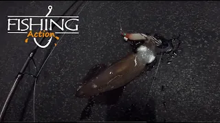 Squid Fishing - Sydney Wharfs and Piers | Fishing Action
