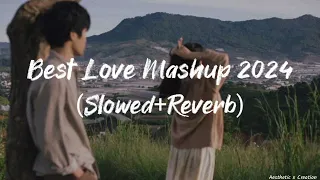 Best Love Mashup 2024 | The Brakeup Mashup | (Slowed+Reverb) | Arijit Singh | @devpmishra