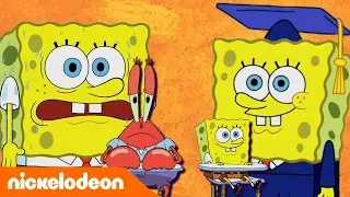 SpongeBob | Le lezioni di SpongeBob 2 | Nickelodeon Italia