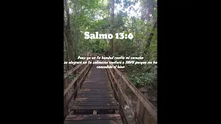 Tehilim (Salmos) 13:6