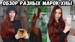 Какая лучшая хна для волос? Обзор разных марок хны