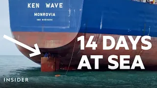 Stowaways Survive 14 Days At Sea Clinging To Ship Rudder | Insider News