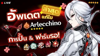 **ไกด์ก่อนเข้า** รอบสุดท้าย! Arlecchino ปั้นยังไงดี!? ✦ Genshin Impact