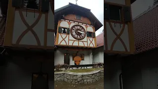 Самые большие в мире часы с кукушкой #germany #германия #clock #top #шварцвальд