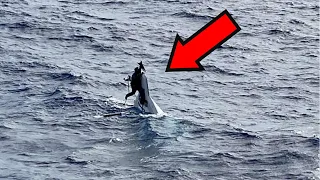 Fisherman Captured on Camera SOMETHING That Shocked the Entire World