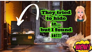 **DUMPSTER DIVING - THIS IS INSANE!   STORES THROWING PERFECTLY GOOD ITEMS IN TRASH