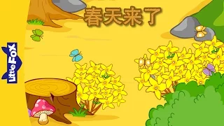 Spring Is Here (春天来了) | Chants | Chinese song | By Little Fox