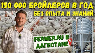 150 000 бройлеров в год на натуральных кормах за 60 дней|Оборудование птичника|Дагестанская смекалка