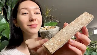 Много печенья🍪 A lot of cookies | ASMR |