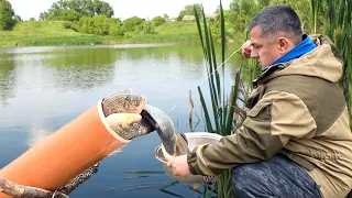 Удочка больше не нужна!  “Сюжет постановочный но прикольный “