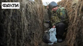 Бойовики провокують, щоб дізнатися позиції ЗСУ: останні новини Донбасу