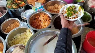 Mouthwatering Chaat Varieties in Delhi | Aloo Chaat / Bhalla Papdi & Kalmi Vada | Ashok Chaat Corner