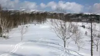 クロスカントリースキー　摩周湖美留和林道樹間コース