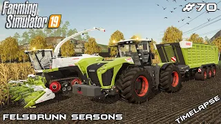 Silage harvest with Claas | Animals on Felsbrunn Seasons | Farming Simulator 19 | Episode 70