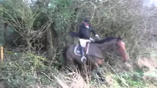 Suir Vale Harriers Hunt Rahaelty Jan 2016