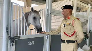 Dubai Police Mounted Station Al Awir