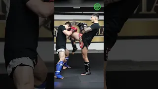 Fast Muay Thai Sparring Drills - Switch Kick Fake with Amir Ghassemi