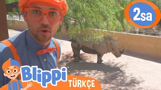 Blippi Bir Hayvanat Bahçesini Ziyaret Ediyor 🦙🦙 | Blippi Türkçe - Çocuklar için Eğitici Videolar