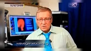 Пётр Гаряев - ТЕЛЕГОНИЯ