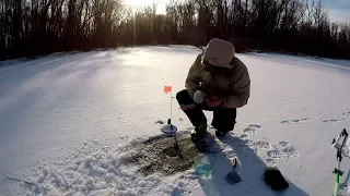 Щука на жерлицы. Нашел место с Большими Окунями!