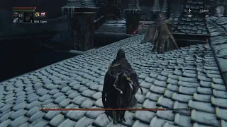 Martyr Logarius - BL4, No Roll/Quickstep/Parry (Flawless)