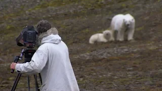 Stalked by a Polar Bear and Her Cub | BBC Earth