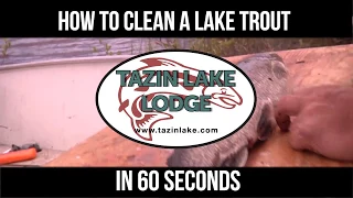 How to clean a lake trout in 60 seconds