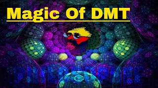 Terence Mckenna What Happens When You Smoke DMT